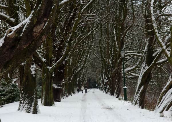 Snow on Avenham Park