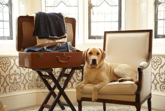According to research by Holiday Cottages, 90 per cent of dog owners would consider changing their travel plans to accommodate their pet