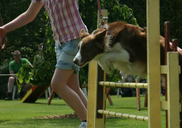 Myerscough College Country Fair
