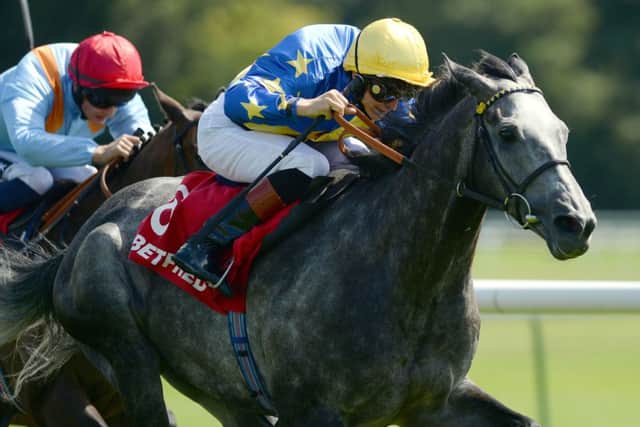 Racing tips from PicksfromthePaddock.co.uk