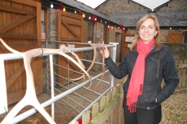 Oh deer: Alison Pye of Old Holly Farm, Forton,  with Blitzen's  antlers