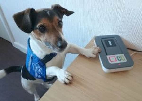 Billy the Jack Russell is as much a carer to his owner as a family pet