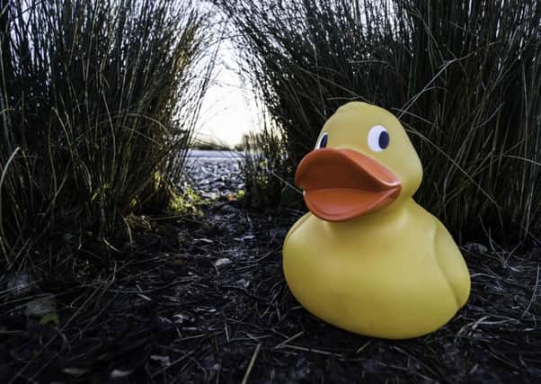Martin Mere Nature Reserve at Burscough holds its annual duck race on Sunday, April 19, at 3pm