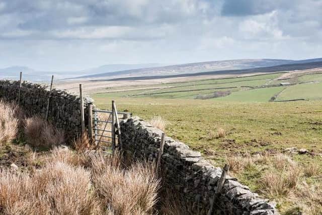 More than 30 electricity poles and 2.5km of overhead power lines, which have been in place since the 1960s, have been permanently removed from the popular Forest of Bowland in north Lancashire.
AFTER picture
