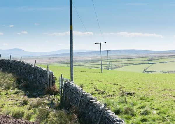 BEFORE: Electric poles Roeburndale, Forest of Bowland