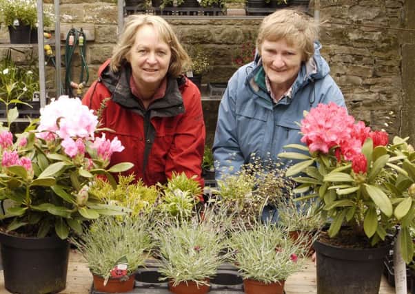 Sue McDade (left) and Brenda Lownsbrough help on the garden stall at Bleasdale Tower open garden weekend