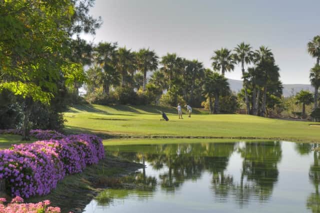 Golf Las Americas is a highly manicured course that sits in a natural ampitheatre