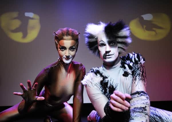 Andrew Lloyd Webber's musical Cats at the Opera House