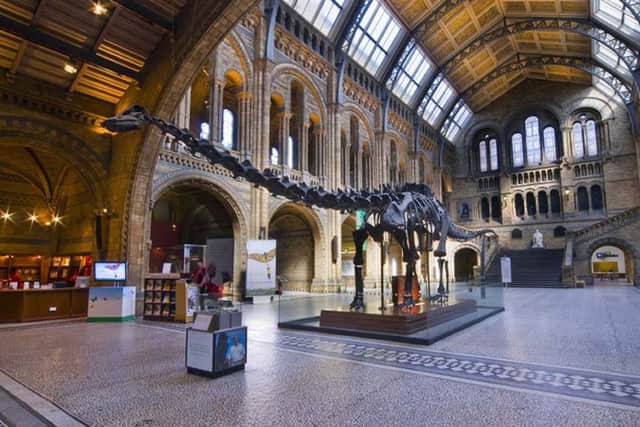 Dippy the Diplodocus who is to be moved out of the London museum's main hall and forced to retire.
