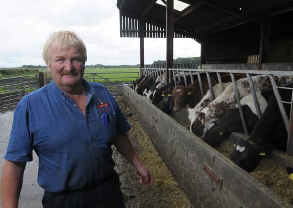 Andrew Pemberton with his cattle at Birks Farm