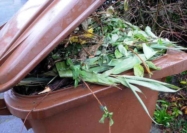Garden waste: The council is proposing to charge for garden waste collection