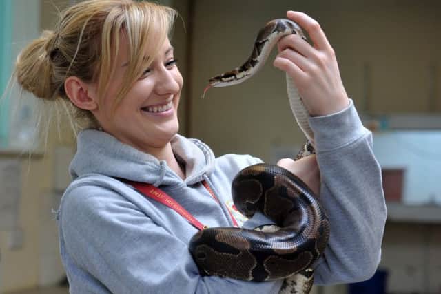 Photo Neil Cross
Emily Duncan with Esme a Royal python in Myerscought College's animal studies department