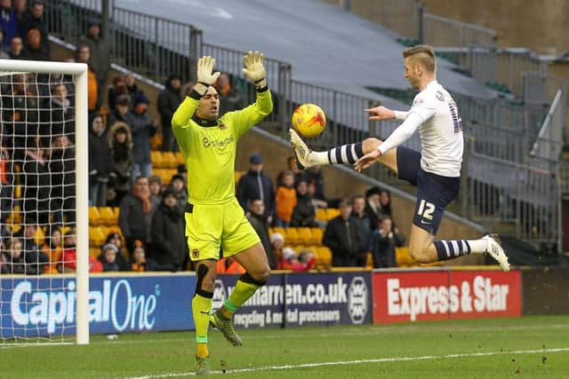 Paul Gallagher lifts the ball over Wolves keeper Carl Ikeme to give PNE the lead at Molineux