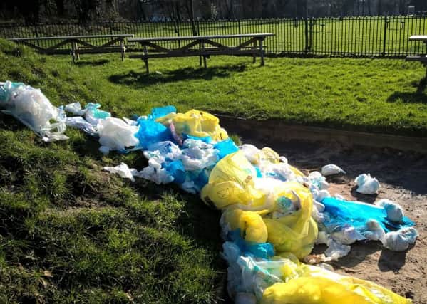 Nappies have been dumped on the children's play park at Ryelands Park at least four times.