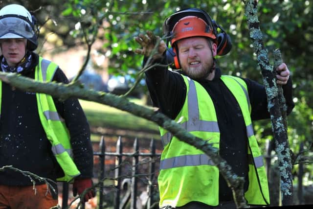 Tree felling begins in Winckley Square at the start of a Â£1.2m restoration project