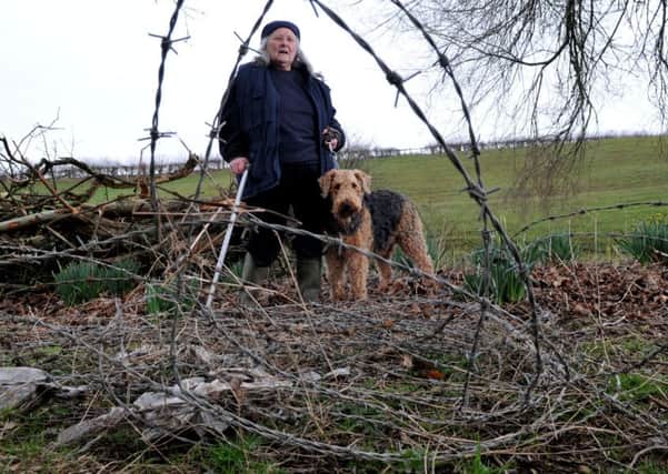 INJURED: Margaret Lloyd with her dog Bella and the barbed wire