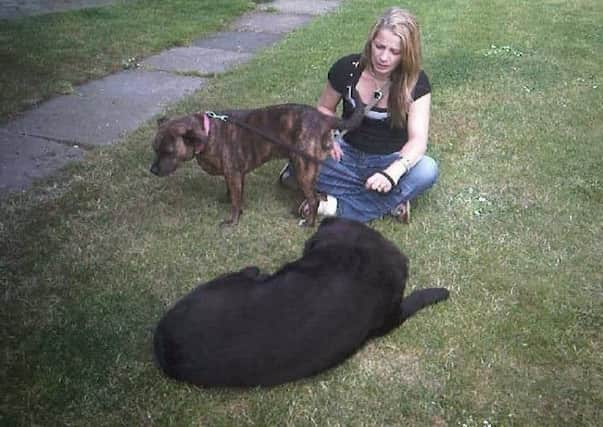Staffordshire Bull Terrier, Maggie, who was killed after a dog treat splintered. Owned by Nicola Chadwick, Much Hoole.