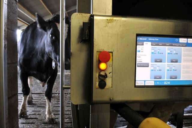 Photo Neil Cross
"The cow shed of dreams"at Barton Brook Dairy, with a state-of-the-art robotic milking system