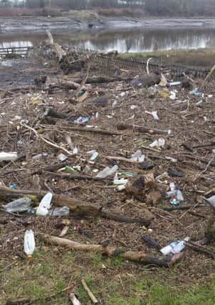 Ribble Rivers Trust and the Preston Bird Watching and Natural History Society organise a litter pick on the South Ribble Bank. This is what was collected how the bank looks in 2016 before the pick.