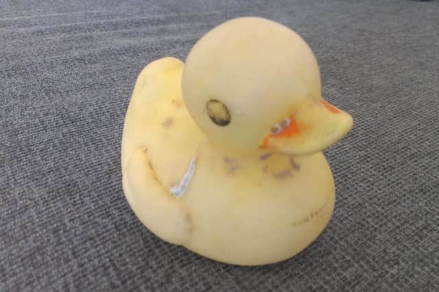 The Irish rubber duck found on Morecambe beach on St Patrick's Day.