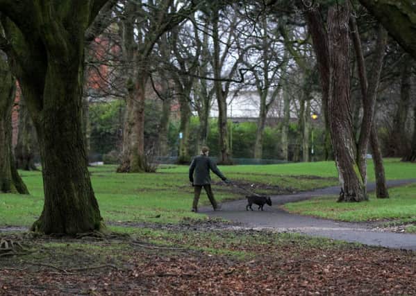 Green space: An application has been lodged to fell and remove trees in Moor Park