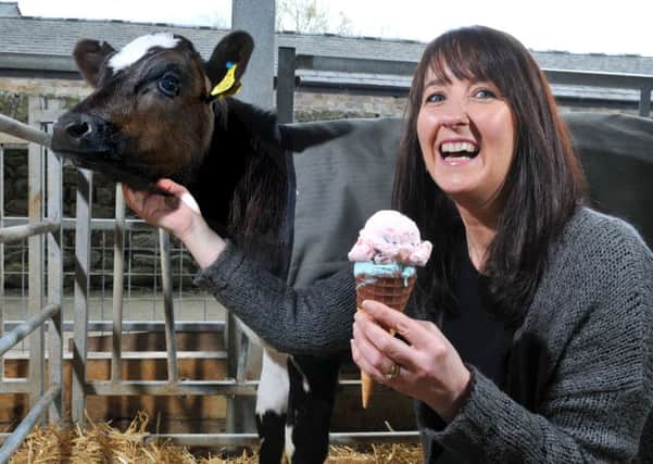 Photo Neil CrossAngela Stewart has won 5 national awards at CoolCow Ice cream, Old Holly Farm, Cabus Nook