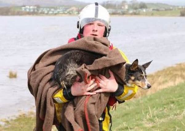Woman and dog rescued from the sea at Bolton-le-Sands