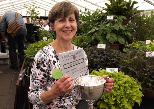 Sue Smith celebrates winning a challenge cup and  gold award for her Brighter Blooms'  container grown edibles and salad leaves display at Harrogate spring flower show 2016