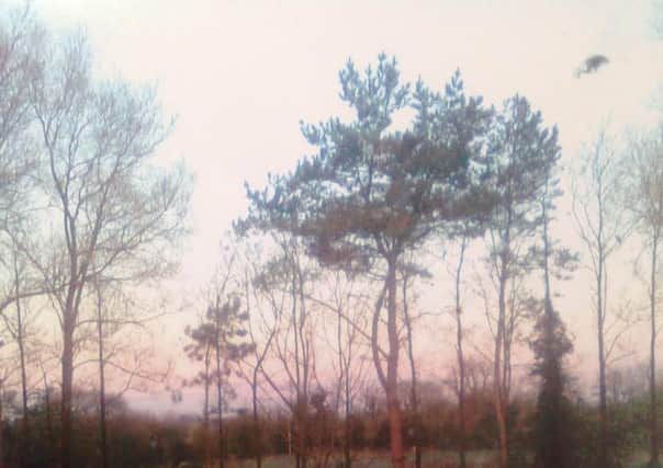 Zed Khan's back garden in Catforth, where he calims to have seen a UFO (top right)