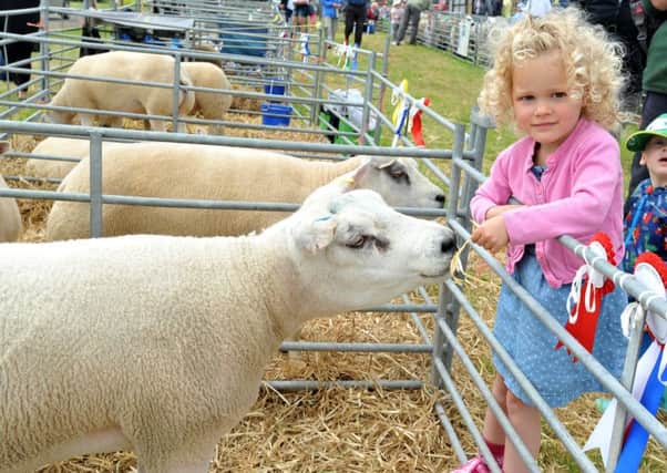 Photo Neil Cross
 at Goosnargh and Longridge Agricultural Show