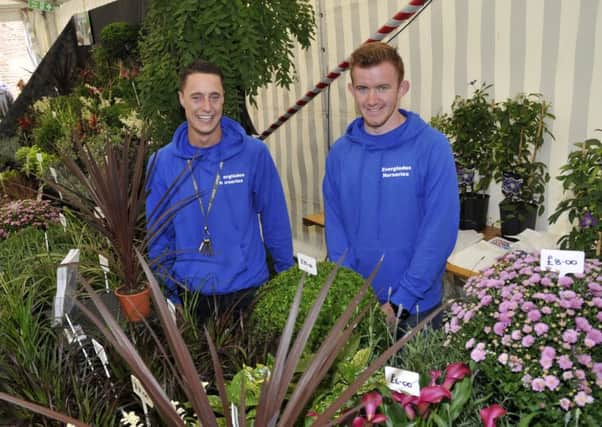 Dan Bamford and Josh Townson from Everglades, Euxton at the 2015 Chorley Flower Show on Astley Park