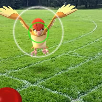 Pokemon Go in PrestonMoor Park