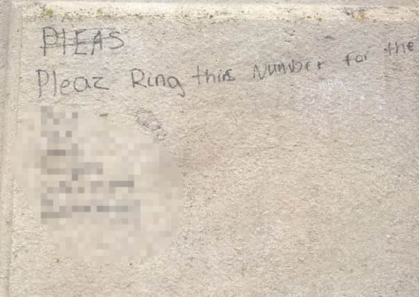Vandalism at Stanley Park