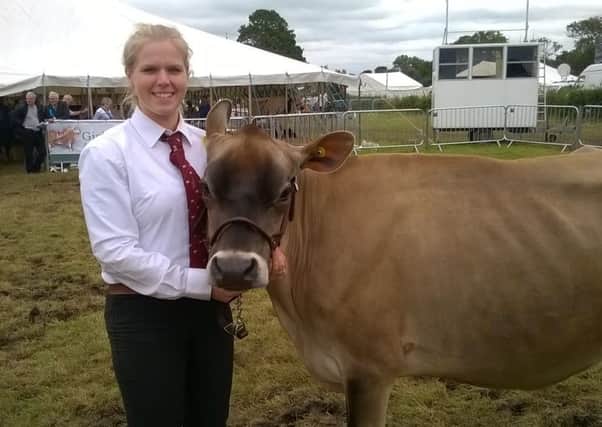 The Great Eccleston Show cow competition