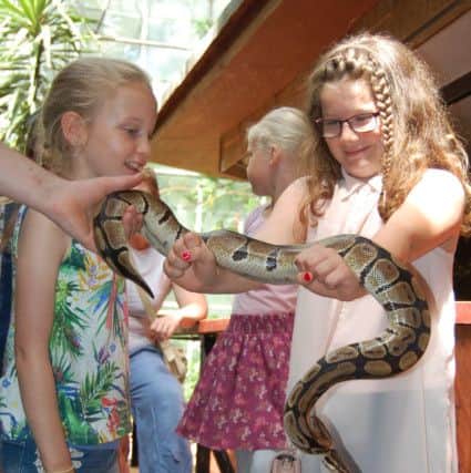 Snake handling at Lakeland Wildlife Oasis