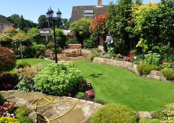 Edwin Williams' garden, winner of the Best Back Garden award in Leyland in Bloom