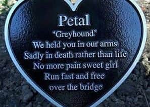 Petal's plaque at Holywell Pet Cemetery, North Wales.