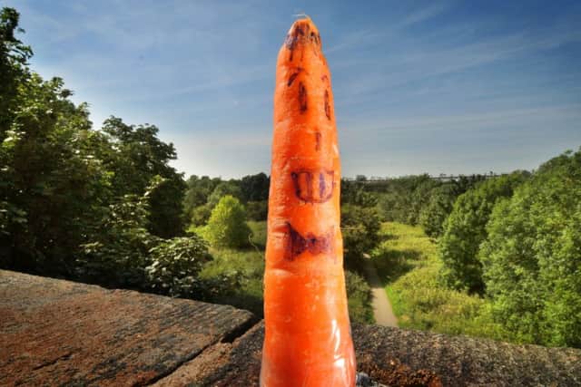 Photo Neil Cross
One of the character carrots found at Avenham Park