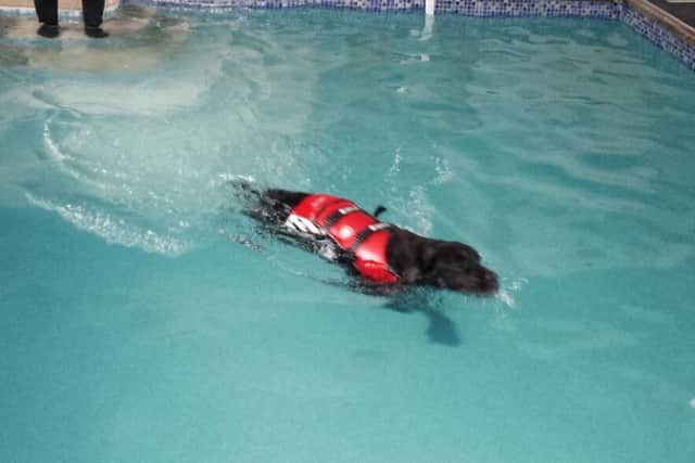 Thomas doing his 20 minute swim.