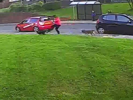 Footage captured the woman lashing out at her dog