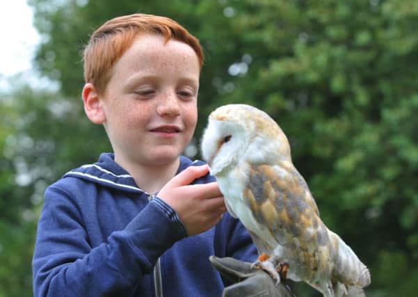 WIGAN
Seb Ellis, seven, holds an owl from Lancashire Hawks and Owls,
part of the many events at the Pemberton Festival.