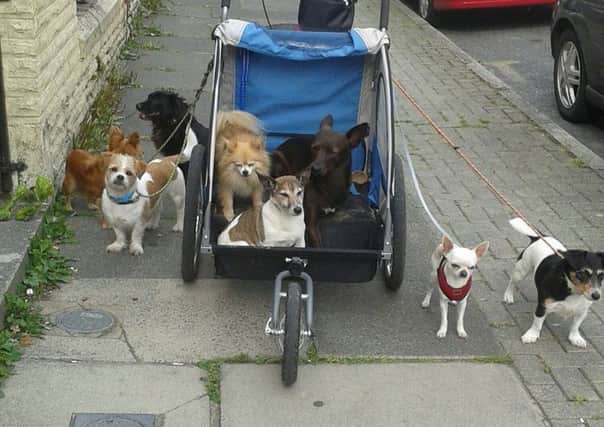 Disabled: Cressy the dogs stroller which was stolen in Morecambe
