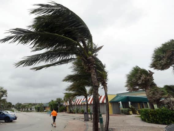 Palm trees sway in high gusts of wind, in Vero Beach.