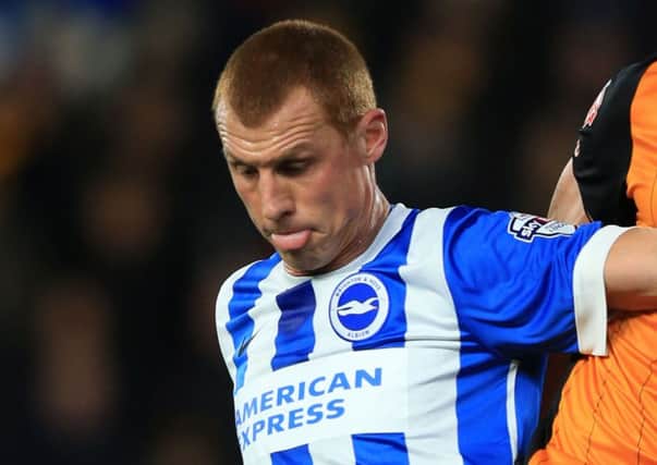 Experienced midfielder Steve Sidwell in action for Brighton