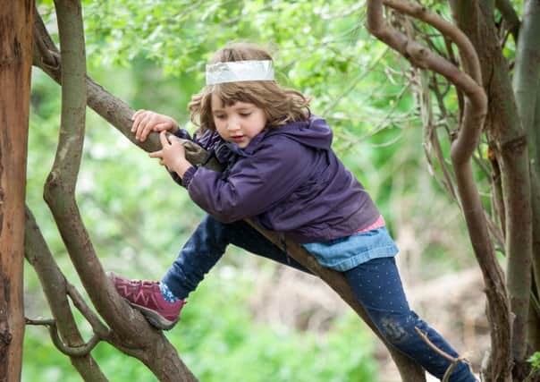 Tree climbing is on the decline in the north west