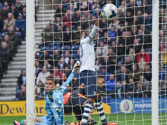 PNE substitute Jermaine Beckford celebrates his goal against Newcastle