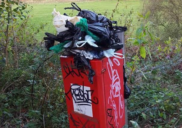 Overflowing dog poo bin on the Old Tramway from Miller/Avenham park towards Penwortham