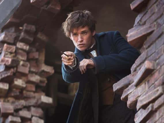 Eddie Redmayne as Newt Scamander in Fantastic Beasts and Where to Find Them