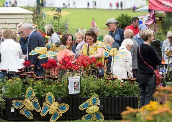 Chorley Flower Show held in Astley Park