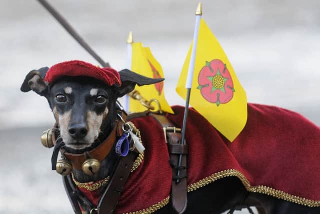 Chorley celebrates Lancashire Day at Astley Hall. Pictured is Manchester Terrier Maisie.
